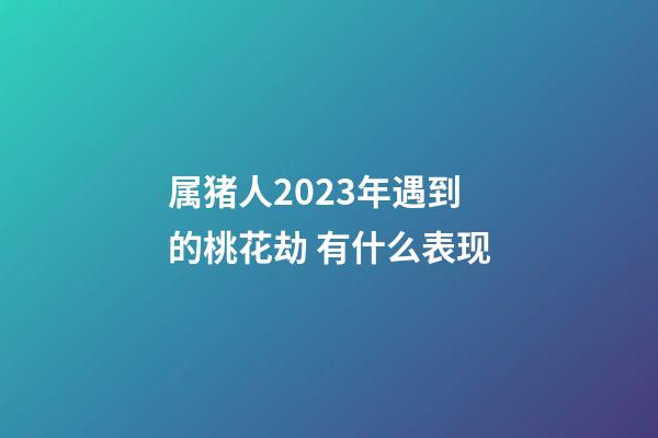 属猪人2023年遇到的桃花劫 有什么表现
